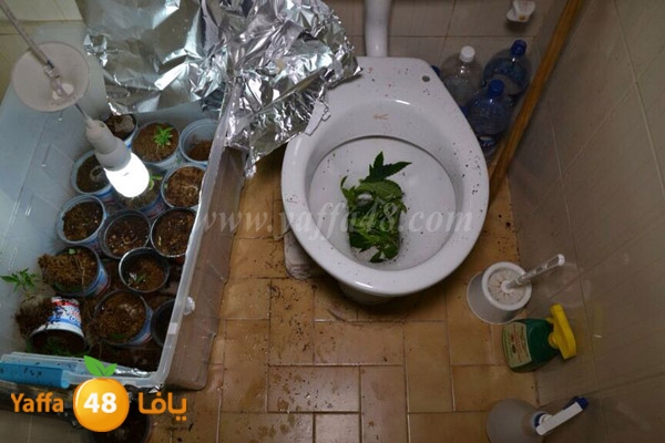 police searrchind 0128 (2).jpg